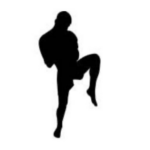 kick boxing logo